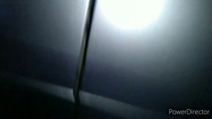 Пистоны для подкрылков Ваз