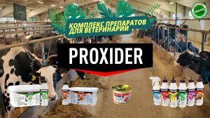 Полная обработка животноводческого комплекса, дезинсекция и дезинфекция с помощью PROXIDER