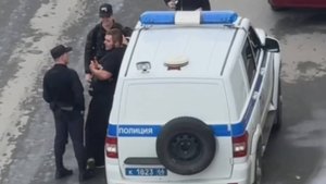 Душил свою собаку, пинал жену, избил ВДВшника, ушёл от полиции