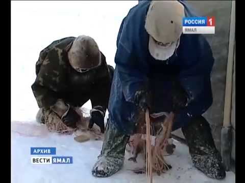 Вступили в силу новые правила рыболовства