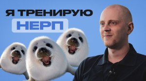 Насколько нерпы умные и зачем их тренируют? Тренер Москвариума о своей работе