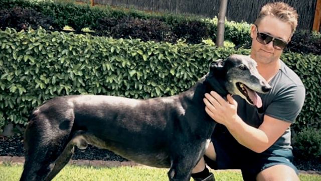 2022 GOTY HALL OF FAME BARCIA BALE смотреть онлайн