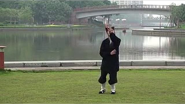 Даосский тайцзицюань 8 методов Лун Мэнь, взращивающих жизненность смотреть онлайн