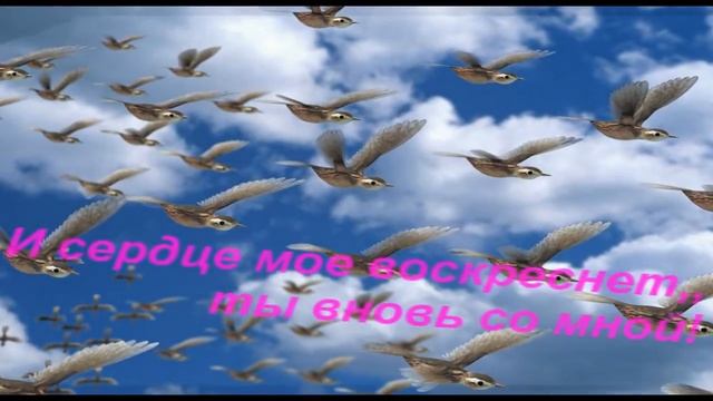 ДЕНИС КОРОЛЕВ "К Минне" Р.Штраус смотреть онлайн