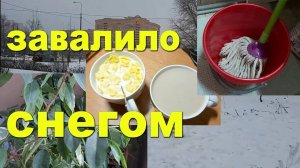 Навожу порядок к новому году. Подсела на готовую еду!))) Сироп из сосновых шишек! Очень много снега!
