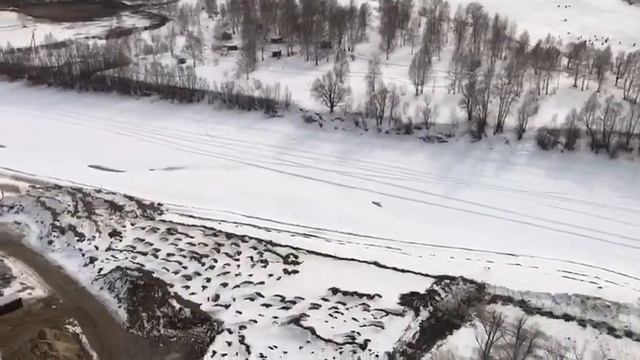 Площадка для строительства дома в притоке Реки Обь смотреть онлайн