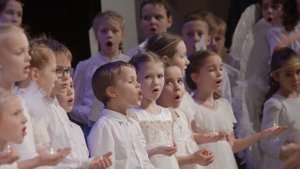 Христос Спаситель. Рождественская колядка. Обработка С.Дружининой