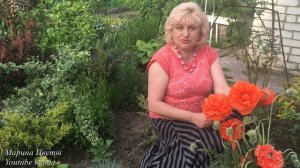 Мак пионовидный - Папавер , выращивание .