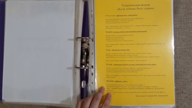 Портфолио воспитателя ДОУ. Что в нем должно быть? смотреть онлайн