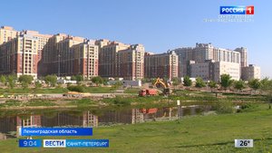 Жители Кудрово пытаются защитить парк Оккервиль от реконструкции