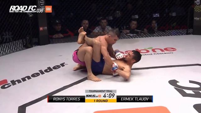 Ермек Тлауов (Казахстан) vs Ронис Торрес (Бразилия)