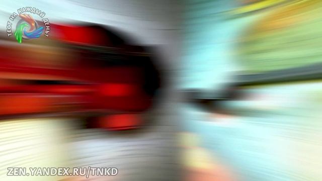 Тест на эрудицию 7 смотреть онлайн