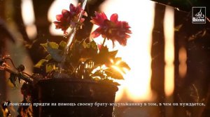 Самые любимые люди для Аллаха - Хадис (Тирмизи/Насаий)