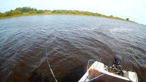 Лодка Неман 2, троллинг щуки в августе