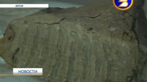 Около села Старые Киешки Кармаскалинского района нашли захоронение Мамонта