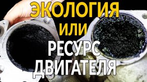 Как экология УБИВАЕТ ВАШ ДВИГАТЕЛЬ?
