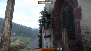 Kingdom Come: Deliverance Как достать ветку деревца?