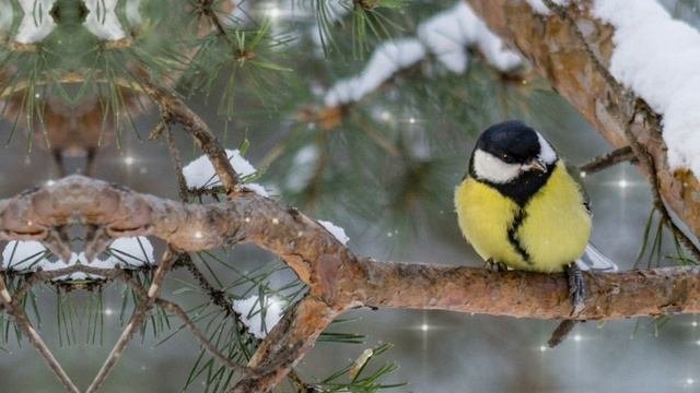 8 февраля народный праздник Фёдор Поминальник. Что нельзя делать. Народные традиции и приметы.
