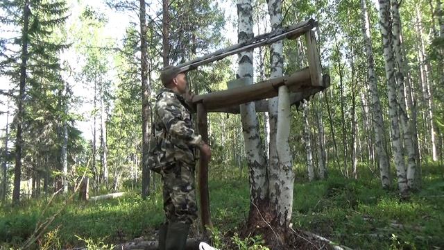 В ТАЙГУ ЗА ЧЕРНИКОЙ / ЯГОДЫ КАРЕЛИИ / СОЛОНЕЦ ДЛЯ ЛОСЯ / ПРОВЕРКА БОБРОВОГО ПОСЕЛЕНИЯ смотреть онлайн
