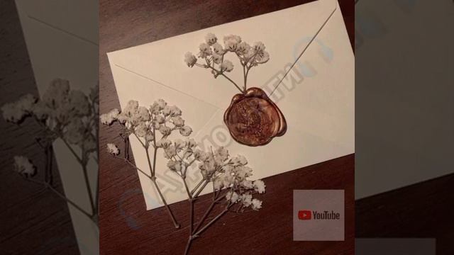 А П Чехов Письмо к ученому соседу смотреть онлайн