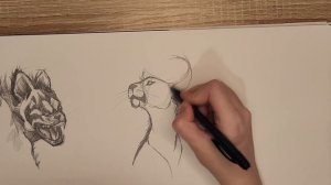 HOW TO DRAW LYNX!!! КАК НАРИСОВАТЬ РЫСЬ!!!