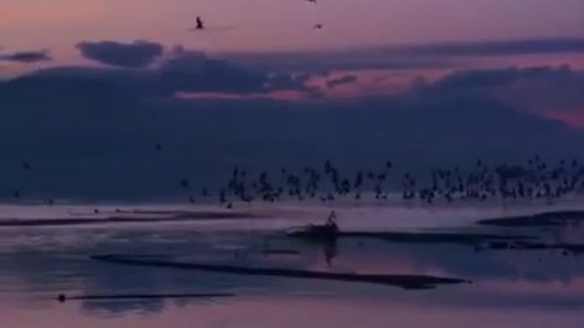 14 ноября 2020 г. смотреть онлайн