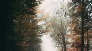 Беглый зек принял роды у 60-летней женщины прямо посреди леса. Но то, что он сделал дальше шокирует