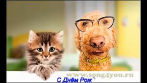 С Днём Рождения, Матвей! - 2018