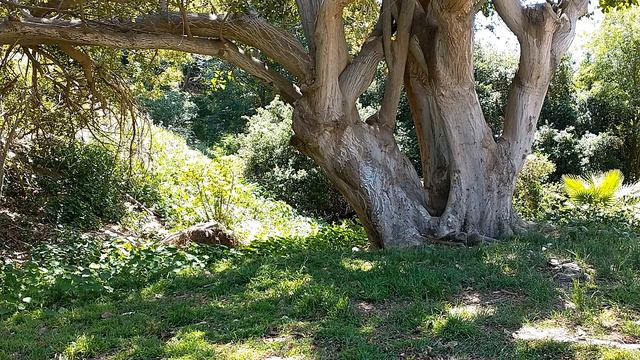 OMP HOBBY M1 Micro Heli Hover Practice Stability OFF смотреть онлайн