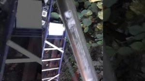Какую удочку надо правильно использовать при ловли карпа и созона для начинающих