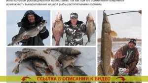 ❌ Прикормка для зимней рыбалки ? Подкормка для леща в домашних условиях ?