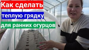 Самый быстрый урожай огурцов на теплой грядке. Как сделать теплые грядки для посадки огурцов