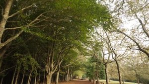 Красивая музыка Вот и  Осень