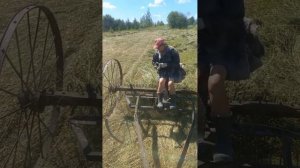 Конные грабли ! А как бы без вас?...