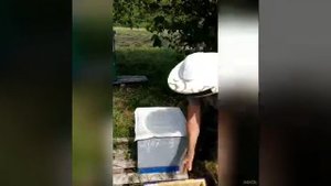 Отзыв от пчеловода со стажем - Эндовираза