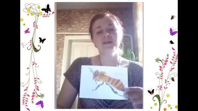 Занятие на тему Насекомые. Воспитатель МБДОУ № 10 "Сказка" г. Тихорецка Шкарупа Екатерина Николаевн смотреть онлайн
