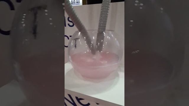 Dubai International Convention & Exhibition Centre смотреть онлайн