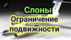 31) Слоны Ограничение подвижности