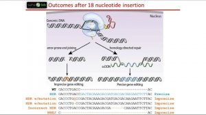 Precise Gene Editing of Human Pluripotent Stem Cells