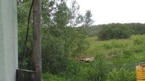 Сделали вилы на трактор ЮМЗ для переноса сена и деревьев