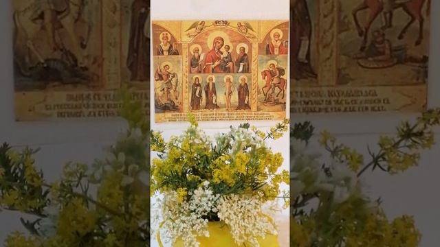 В скорбех и печалех Утешение. смотреть онлайн