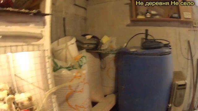 Вес бройлера с 1 по 15 день  Динамика веса посуточно  Деревенская жизнь