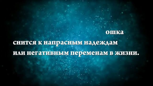 К чему снится беременная кошка - Онлайн Сонник Эксперт