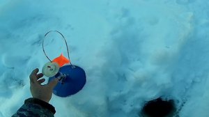 Одиночная рыбалка на Урагане  День 4 й  И снова хариус