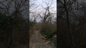 Relax for your soul. Secret of the Woods _ hhandpan music _ Malte Marten and walk in forest