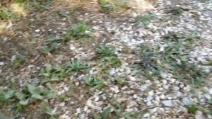 Стул Outventure.