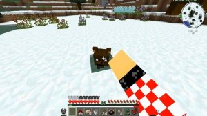 L.P.Minecraft #3 Дом