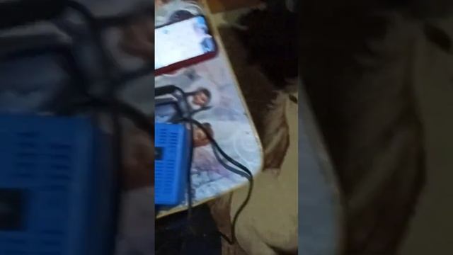 удлинитель работает смотреть онлайн