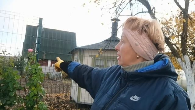 Последними на покой уходят РОЗЫ. Сделаем, чтоб не замерзли и не сопрели
