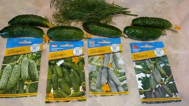 Ожидание - реальность 2023 г. смотреть онлайн